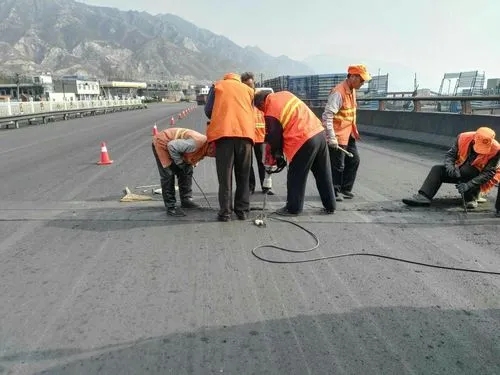 青阳道路桥梁病害治理